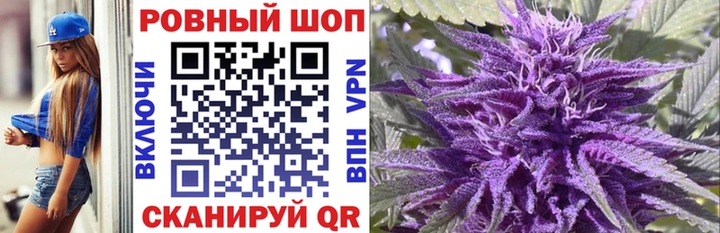 Виды наркотиков купить Беломорск Марихуана Метамфетамин A PVP Гашиш Мефедрон