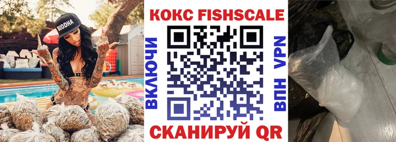 дарнет шоп  Беломорск  КОКАИН FishScale 