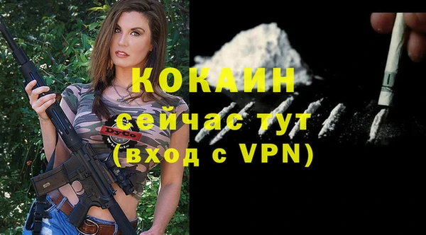 молекула духа Семилуки
