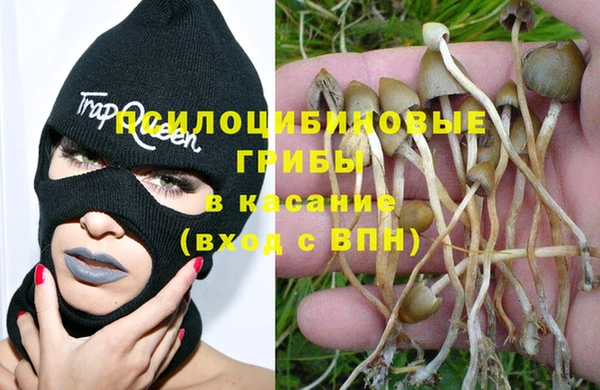 СК Семёнов