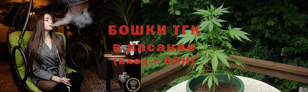 молекула духа Семилуки